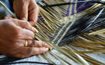 “Weaving” learning across Te Mātaiaho